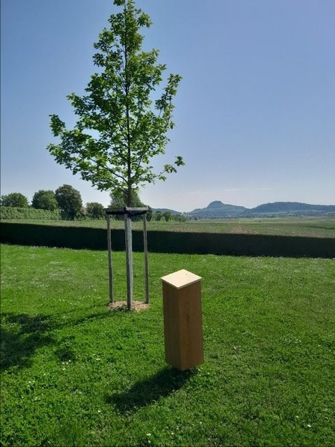 Baumbestattung