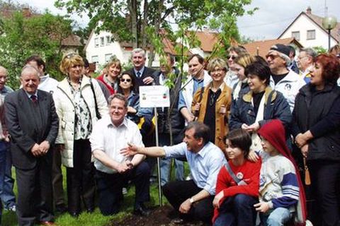 Der Partnerschaftsbaum ist gepflanzt.